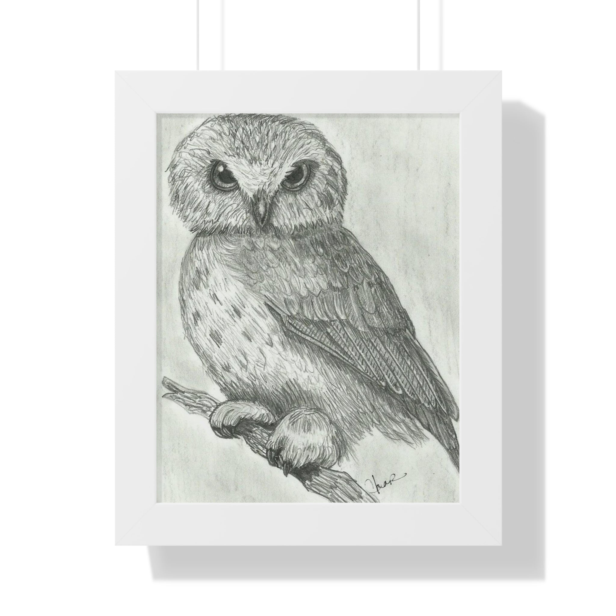 Majestic Nocturne: Hand-Drawn Owl