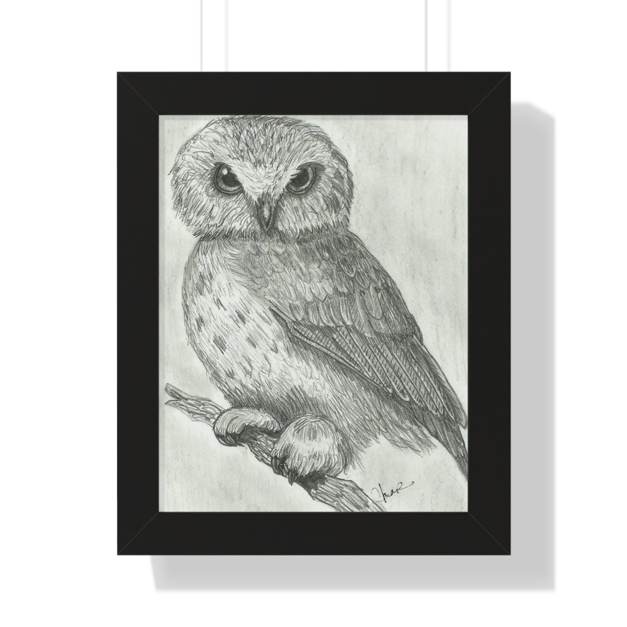 Majestic Nocturne: Hand-Drawn Owl