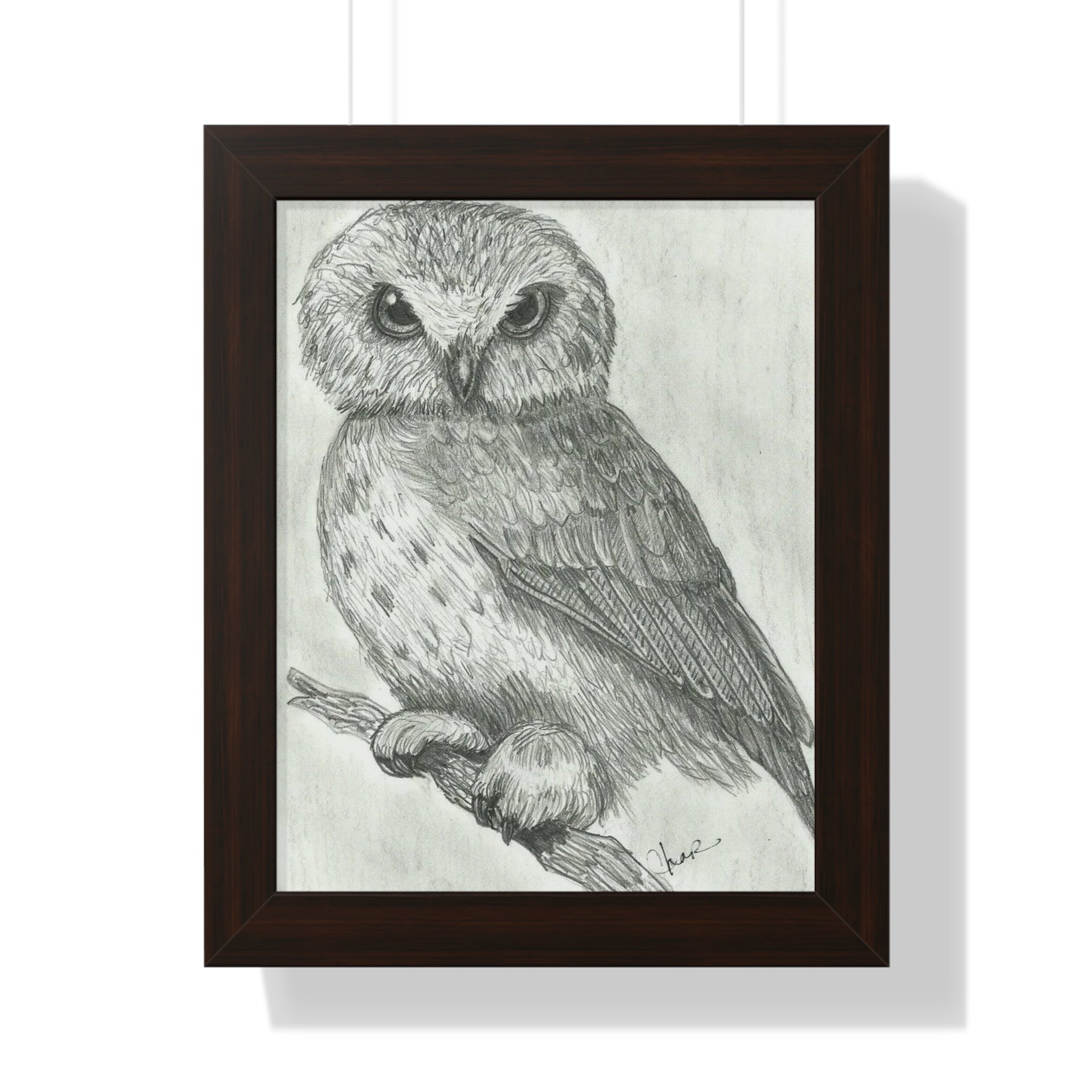 Majestic Nocturne: Hand-Drawn Owl